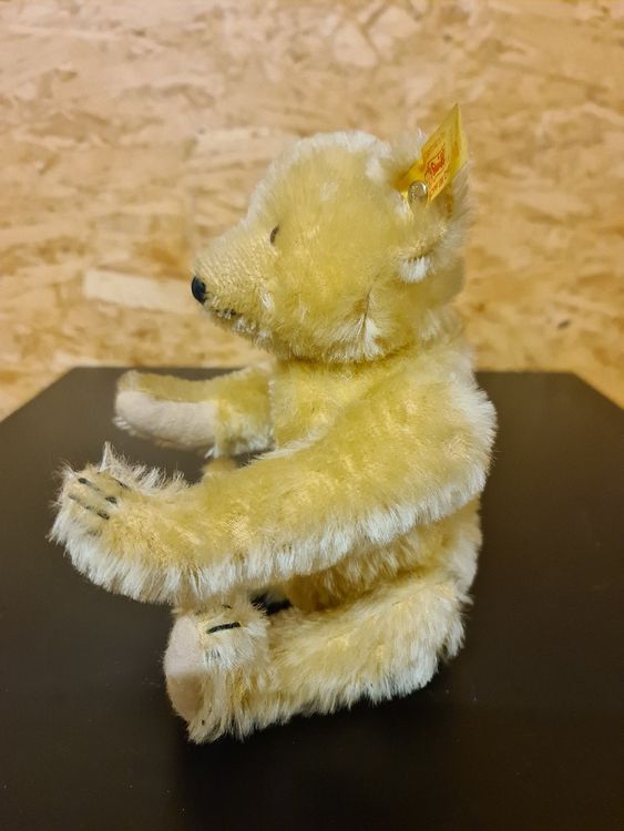 Steiff Jouets: Alte Steiff Teddy Bär – D'occasion à Ibach par Hfedier 1