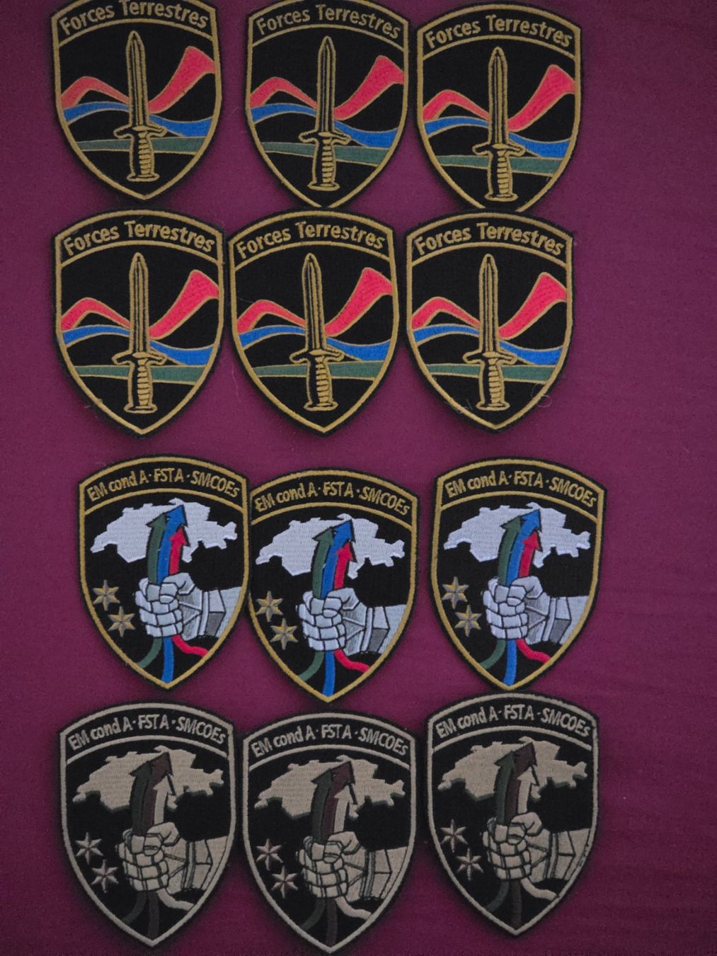 Schweizer Armee Placchette & Badge: 12 Armée Abzeichen Badge Divers neu – Nuovo (secondo la descrizione) da Nyon venduto da freetoys08