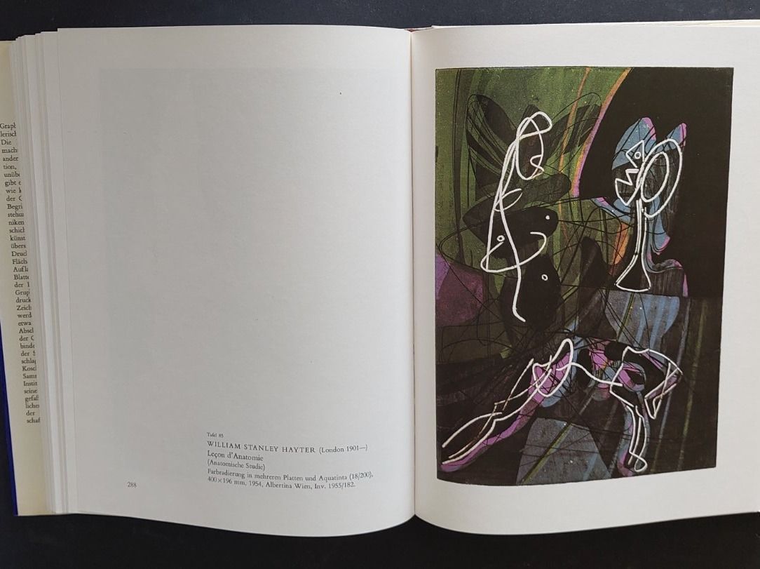 Libri: Die Kunst der Graphik / Walter Koschatzky – Usato da Zürich venduto da t24_de 6
