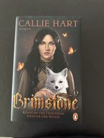 Buch "Brimstone" DE
