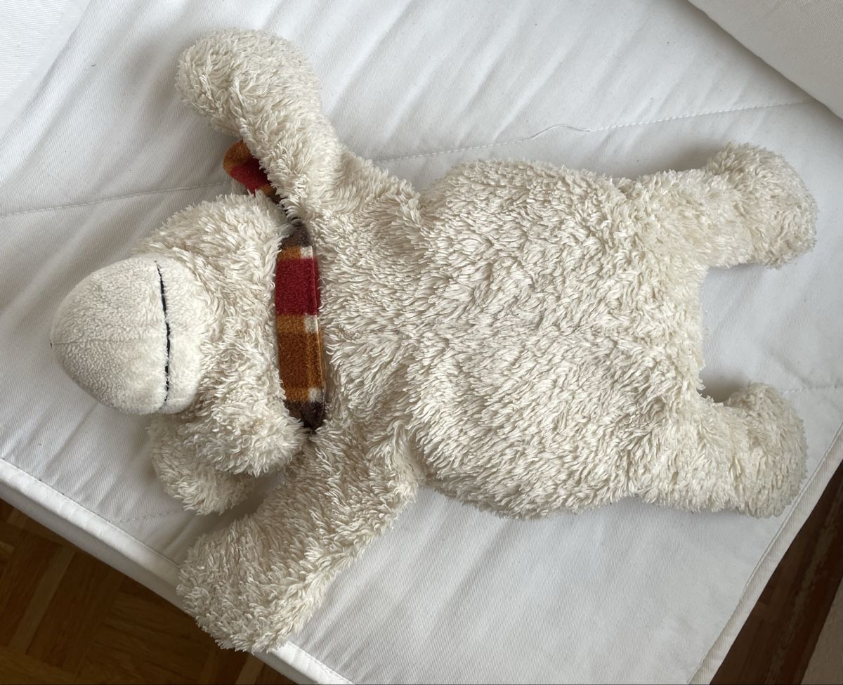 Giocattoli: Teddybär / Benny-Energiebär – Usato da Frauenfeld venduto da Ronja07 2