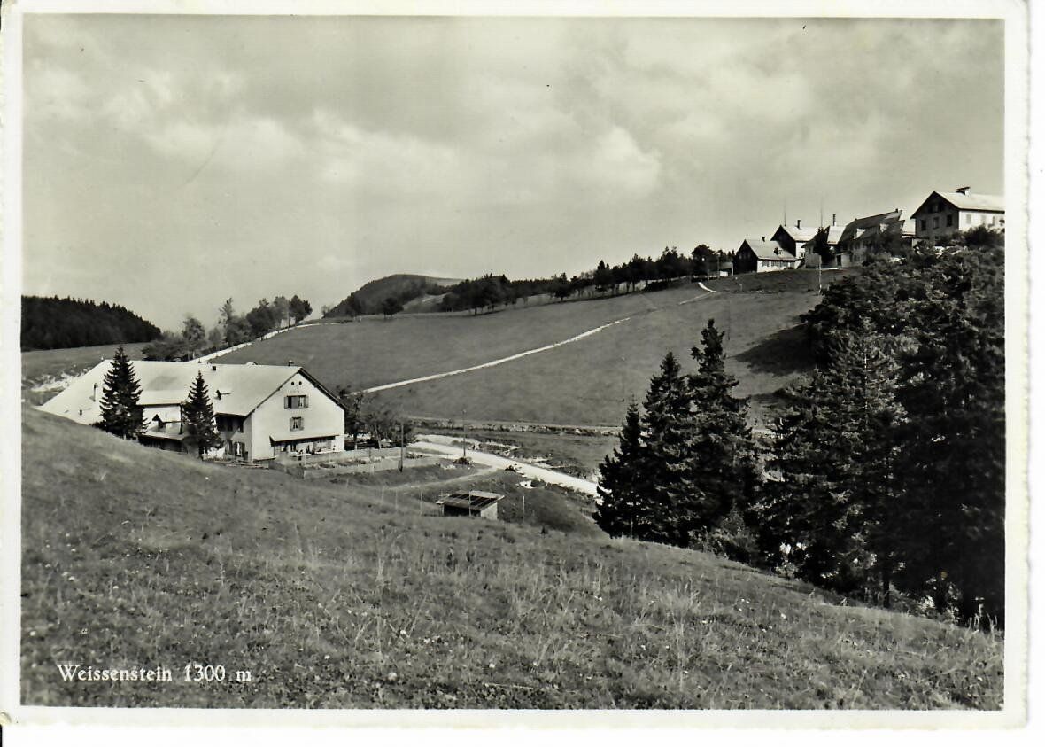 Cartes postales: Weissenstein – D'occasion à Hochdorf par Ziegel-16