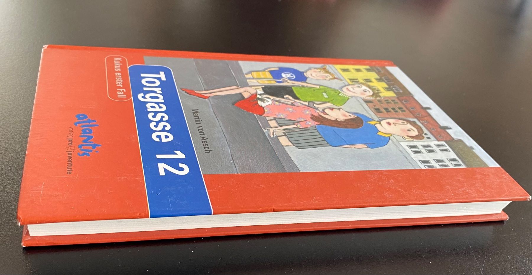 Bücher: Torgasse 12 / Martin von Aesch – Gebraucht aus Nussbaumen AG von schuba2000 1