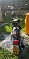 Motorino Cilo