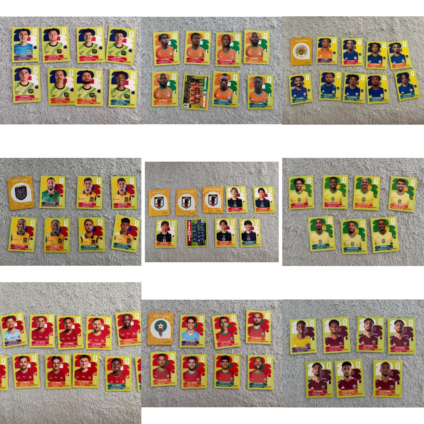 Panini Carte collezionabili: Panini Sticker WM 2026 – Nuovo (secondo la descrizione) da Herzogenbuchsee venduto da sau_ht7r