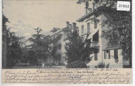 Hotel et Pension des Alpes - Bex-les-Bains