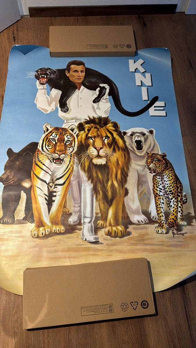 Foto & Immagini: Circus Knie Plakat 1962 – Usato da Rorschacherberg venduto da Harry17