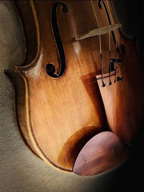 Musikinstrumente: Violon alto – Gebraucht aus Laconnex von Baboon8 2