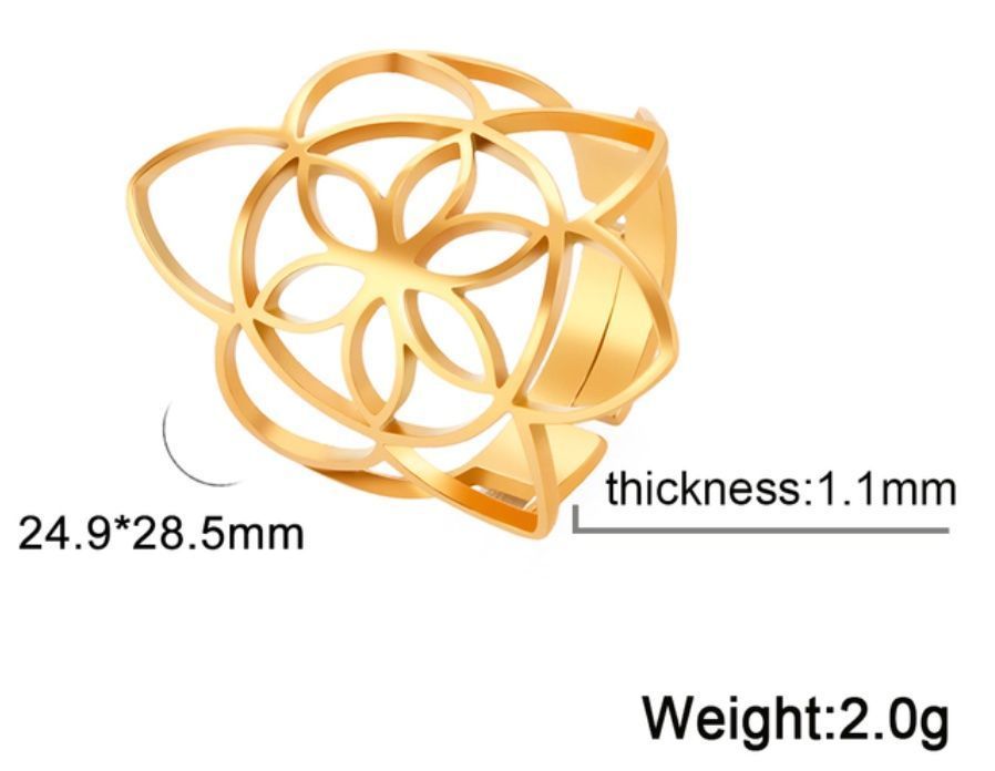 Anelli: Ring – Nuovo e nell'imballaggio originale da Würenlos venduto da JRP_71 3