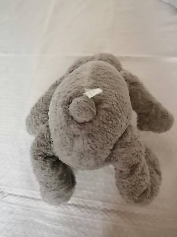 Jouets: Teddybär – D'occasion à Honau par holunder3 2