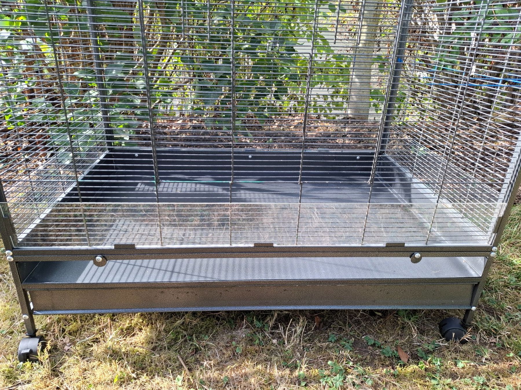 Gabbie, trasporto & Sicurezza: Vogelkäfig – Usato da Mönchaltorf venduto da rimo11 5