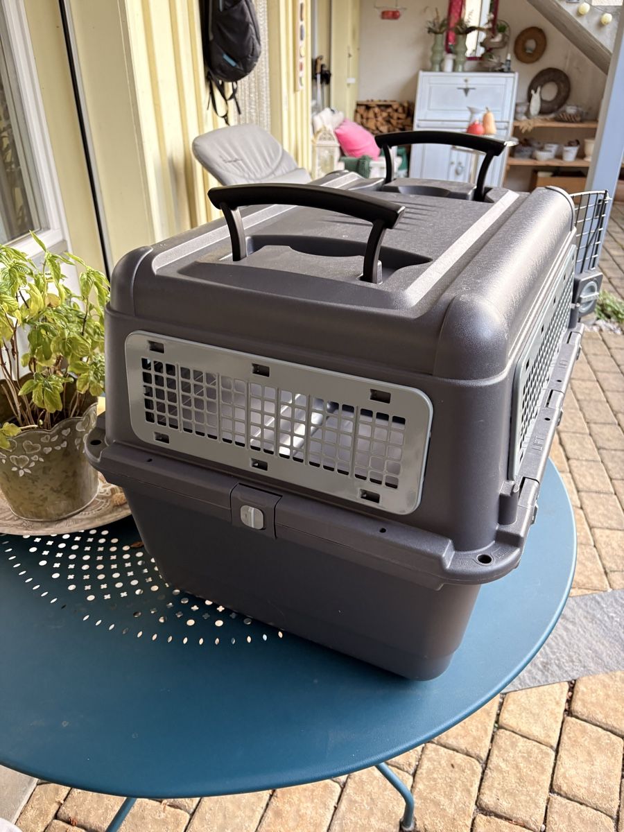 Käfige, Transport & Sicherheit: Hundebox – Gebraucht aus Ziefen von Raimund01 2