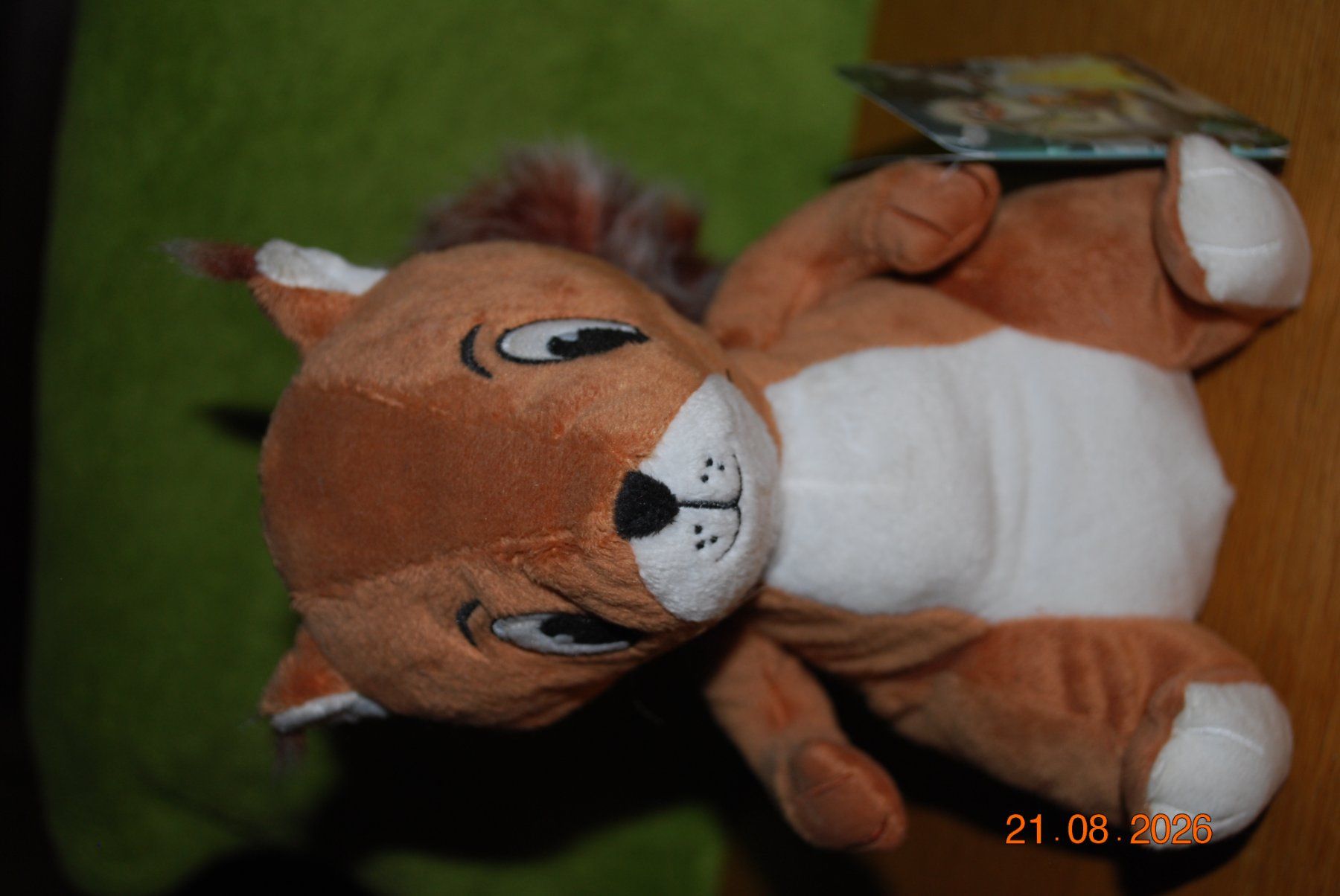 Jouets: Plüscheichhörnchen – Neuf (Voir description) à Seedorf BE par grauerbaer2001