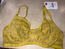 BH HANRO 80C neu