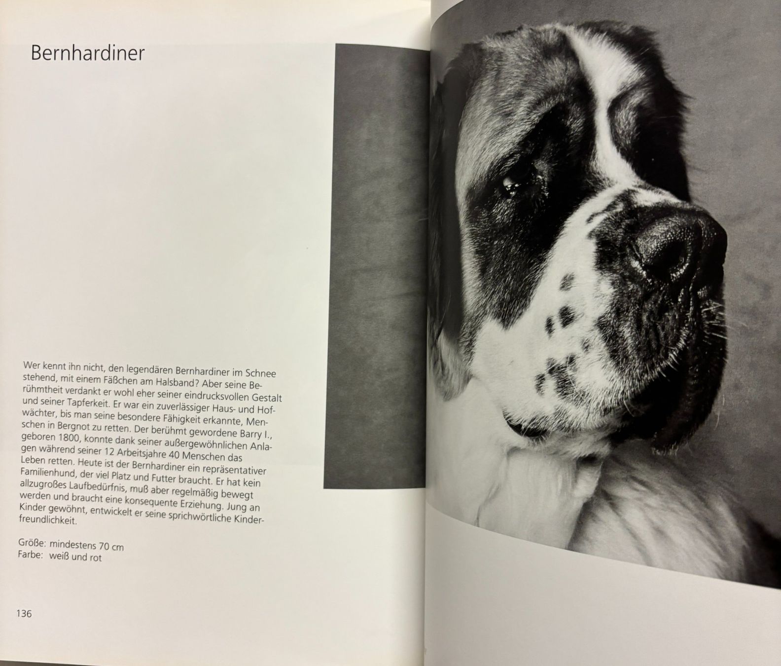 Bücher: Hundeblicke – Gebraucht aus Sarnen von Livres 9