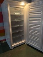 MIELE Gefrierschrank No Frost