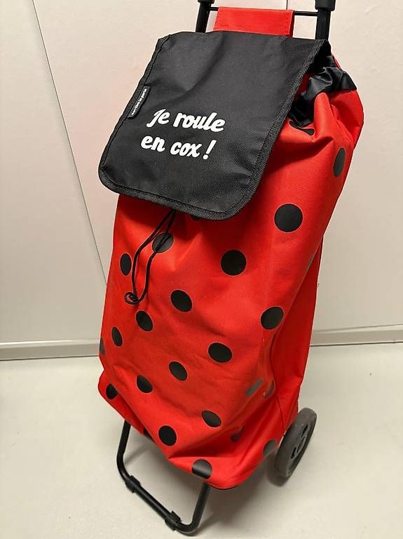 Altro per la casa: Chariot de Courses – Usato da Vich venduto da NatachaCK