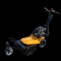 LUMAG HGM-550  Mulchmäher  SOMMERAKTION ☀️