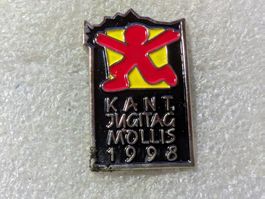 Ansteckpin 120: Kant. Jugitag Mollis 1998