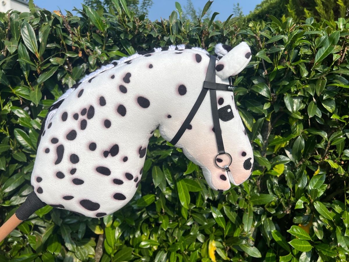 Giocattoli: Hobbyhorse Fabio - top Zustand – Usato da Muttenz venduto da steve0074 7