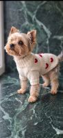 🐶 Handgemachte Hundepullover aus Wolle – Grösse S