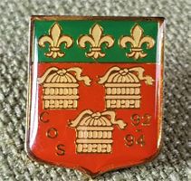 D526 - Pin Gemeindewappen ???