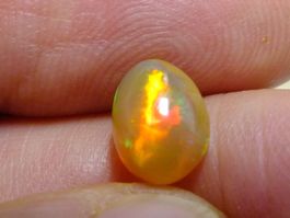 Welo Opale Cabochon 1.54 karat Top Volle Feuer AAA