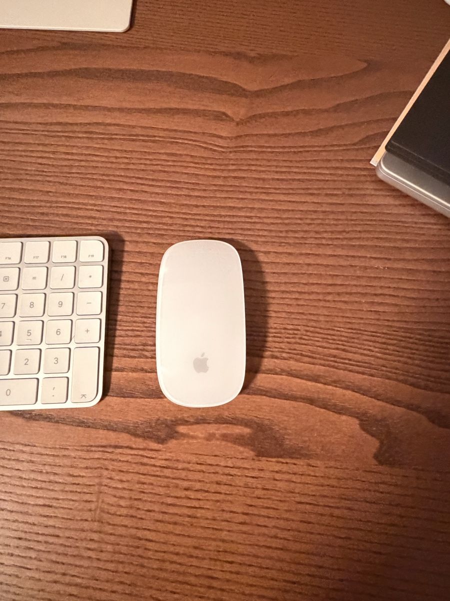 Apple Tastiere: Apple Magic Keyboard(touch id)  + Magic Mouse Set, Swiss – Usato da Altendorf venduto da gio_86dc 4