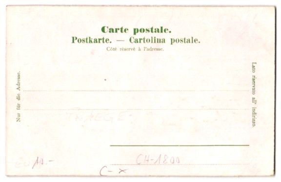 Cartoline postali: Relief-AK Vevey, Vue Générale – Usato da Berlin venduto da bartko-reher 1