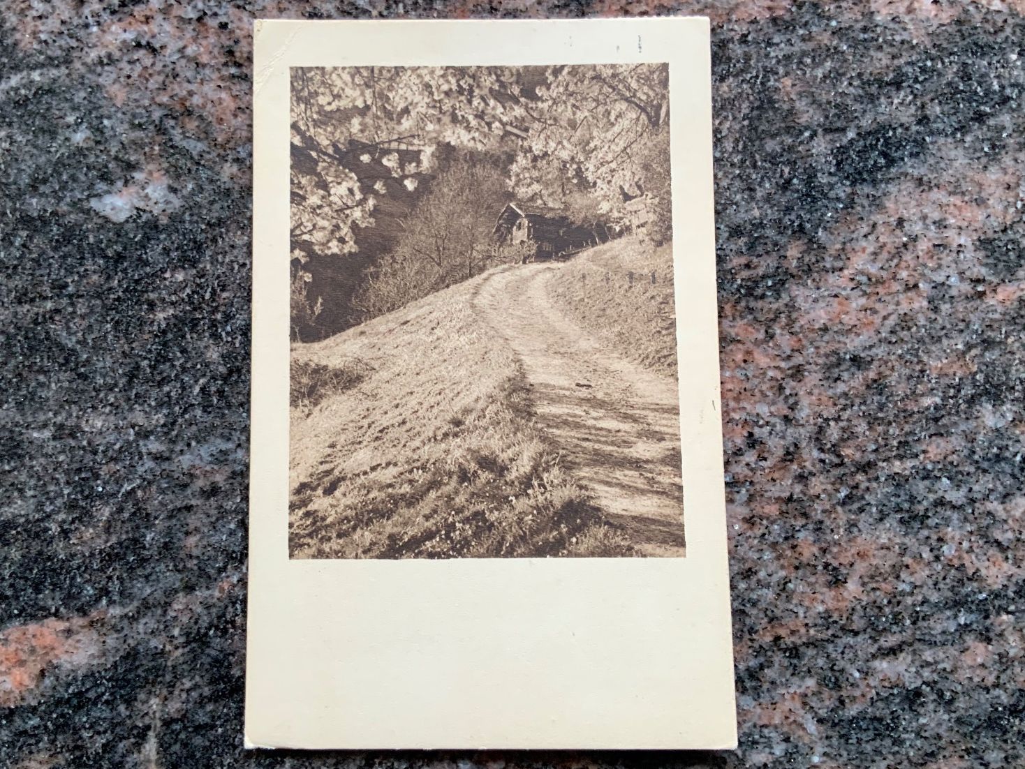 Cartoline postali: Ansichtskarte mit blühendem Baum, gelaufen 1925 – Usato da Vellerat venduto da joromaur