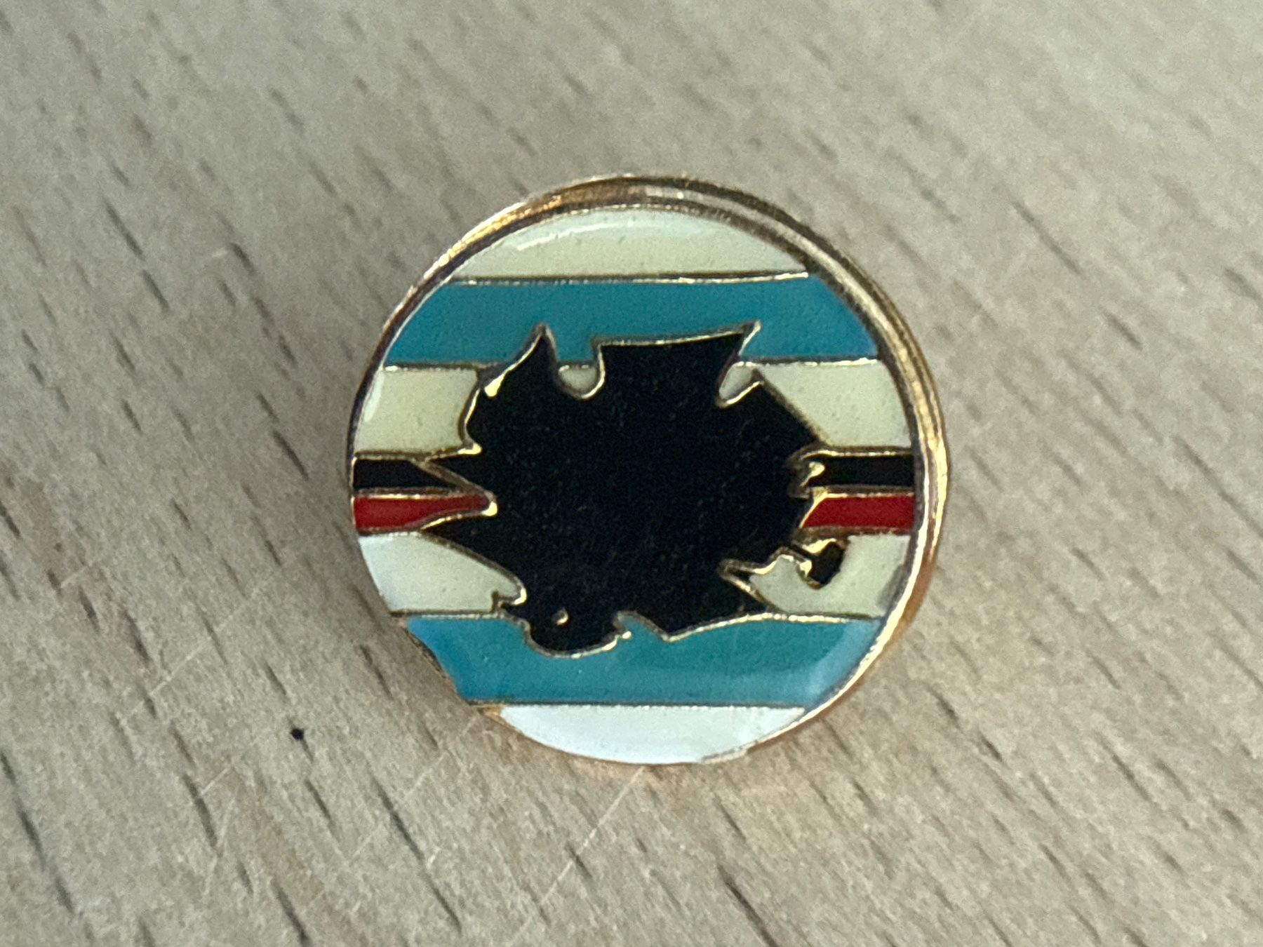 Placchette & Badge: Pin – Usato da Glattbrugg venduto da Schweigmatt