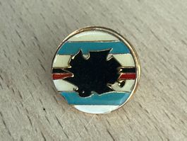 Pin