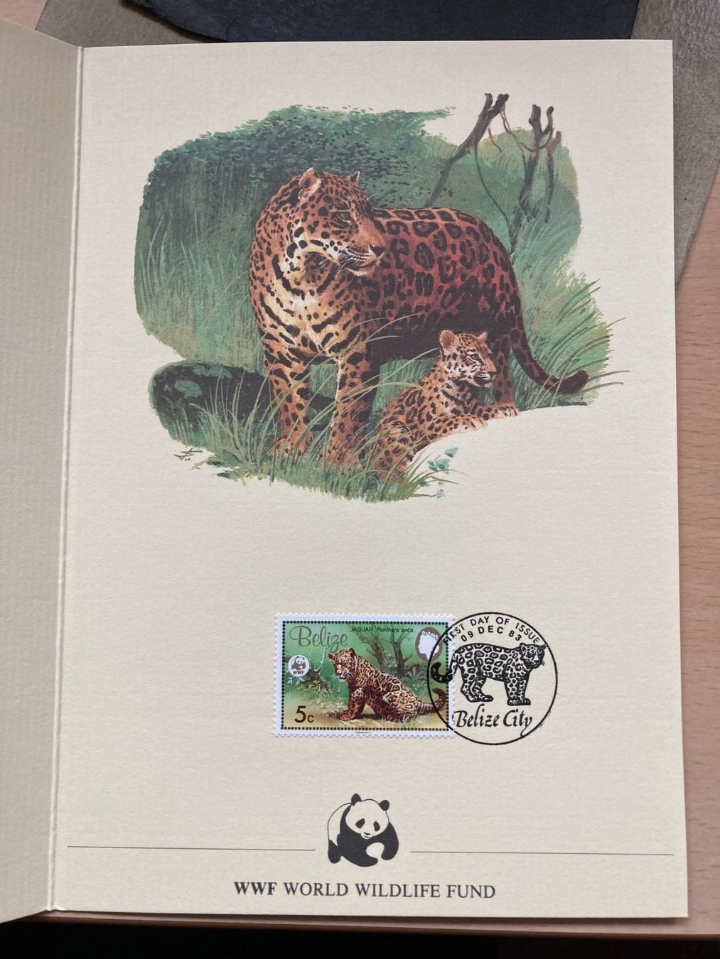 Tutti i francobolli: WWF 1983 Belize Jaguar 5c Spendenblatt – Nuovo (secondo la descrizione) da Liestal venduto da schnueps