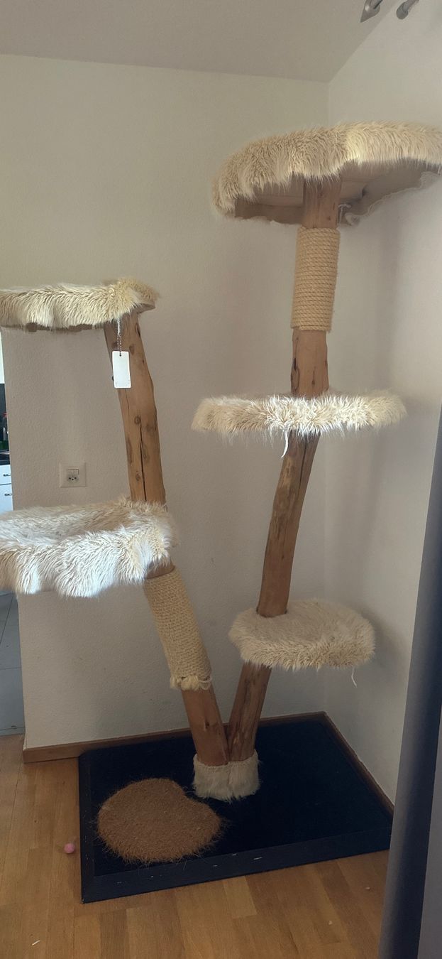 Arbres à chats: Katzenkratzbaum aus Naturholz – D'occasion à Regensdorf par dan_p2pm 3