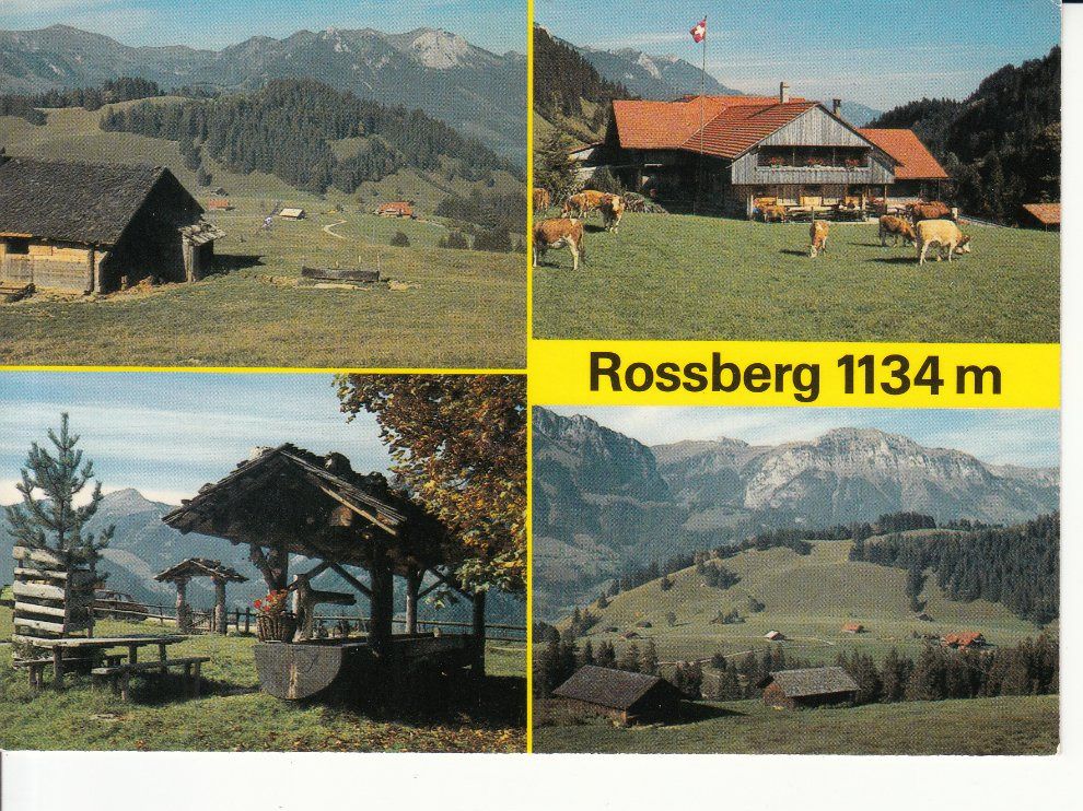 Cartoline postali: Oberwil Rossberg 1982 – Usato da Bürglen TG venduto da StampGraf