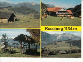 Oberwil Rossberg 1982
