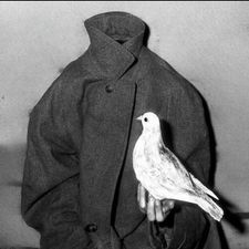 Profile image of Wind_Schnupperer