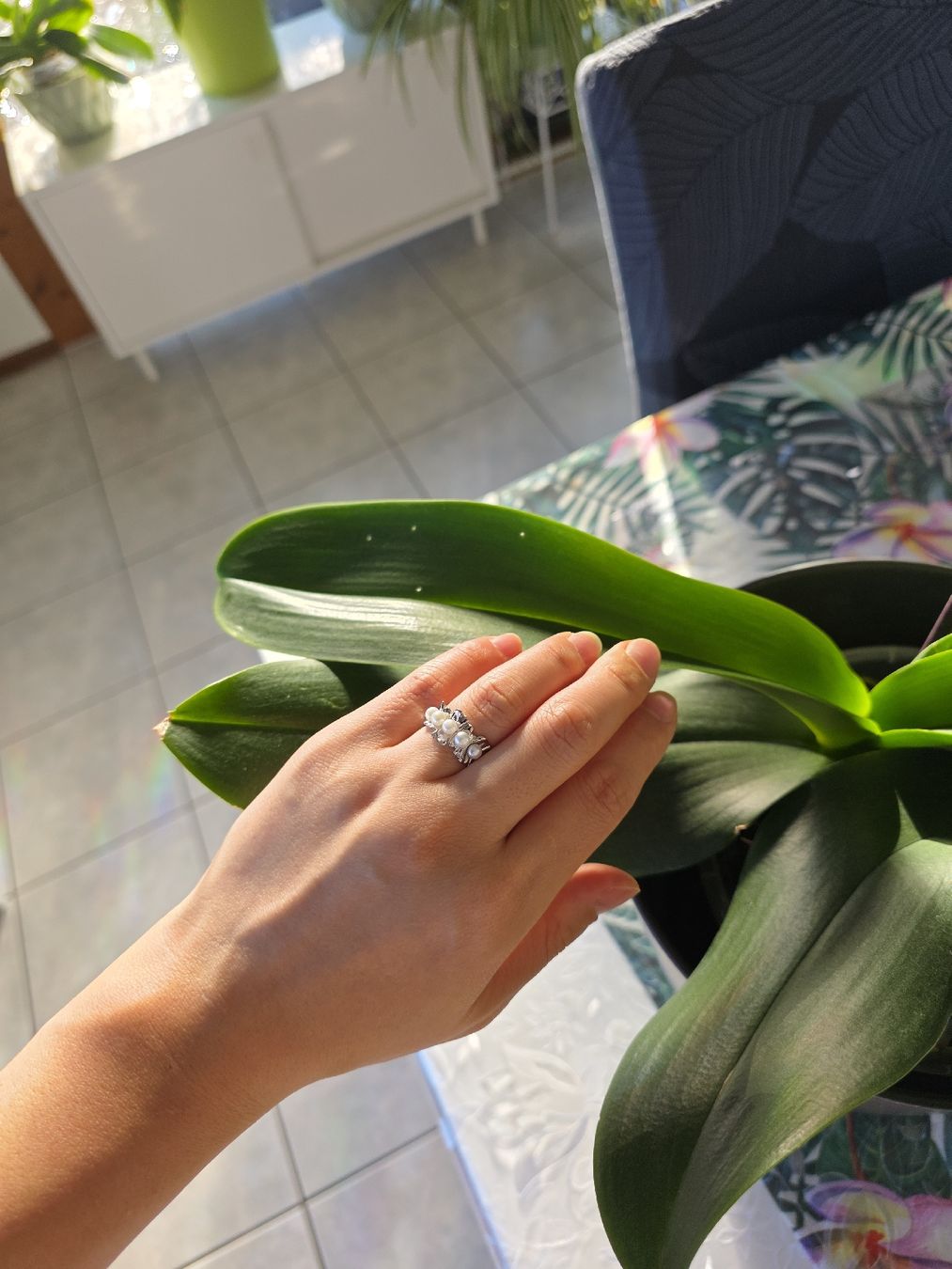 Ringe: Silber Perle Ring mit Retro-Charme – Neu und originalverpackt aus Romoos von Jewelrylover 1