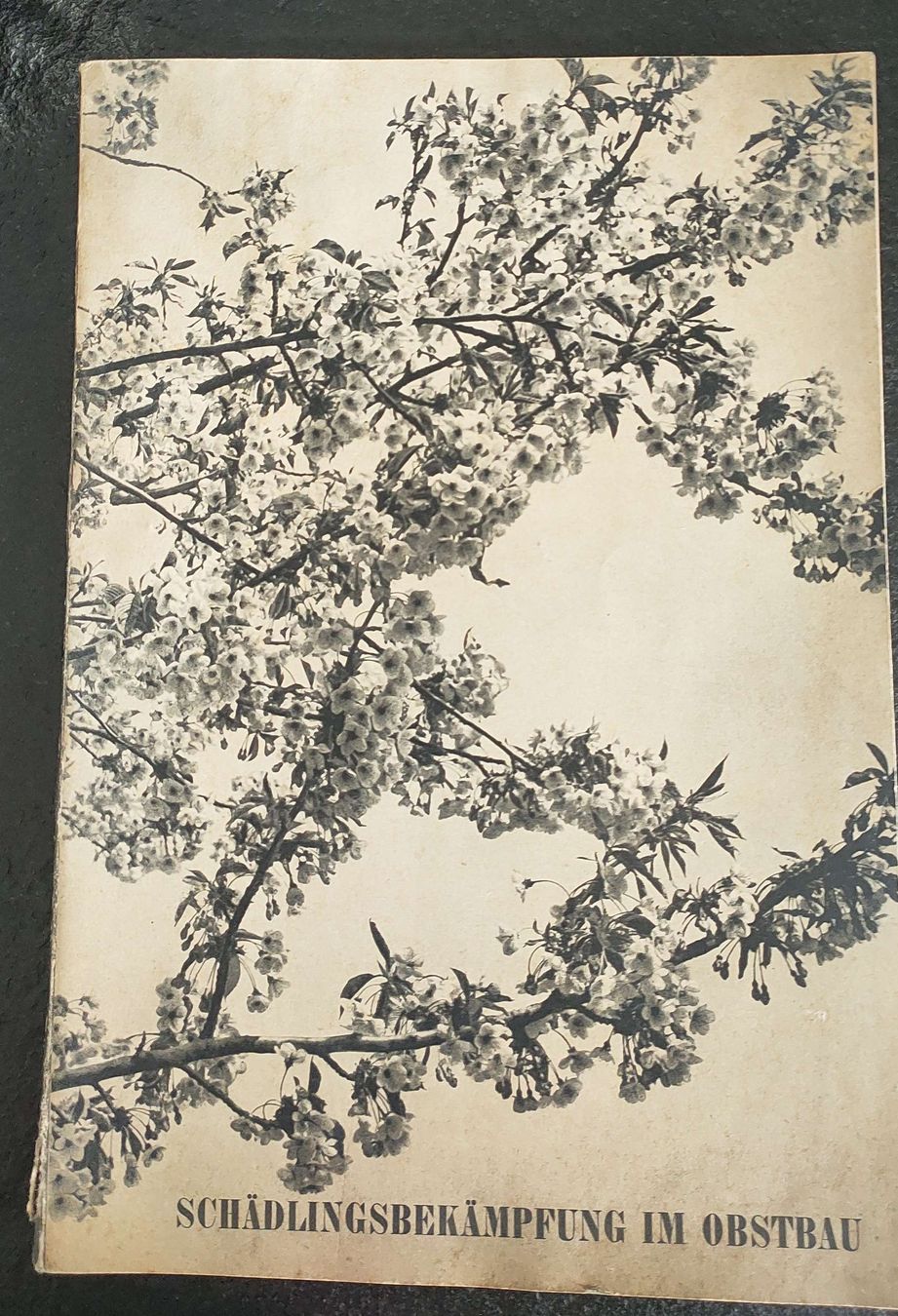 Libri: Seltenes Buch: Schädlingsbekämpfung im Obstbau, antik 1940 – Usato da Gipf-Oberfrick venduto da minini