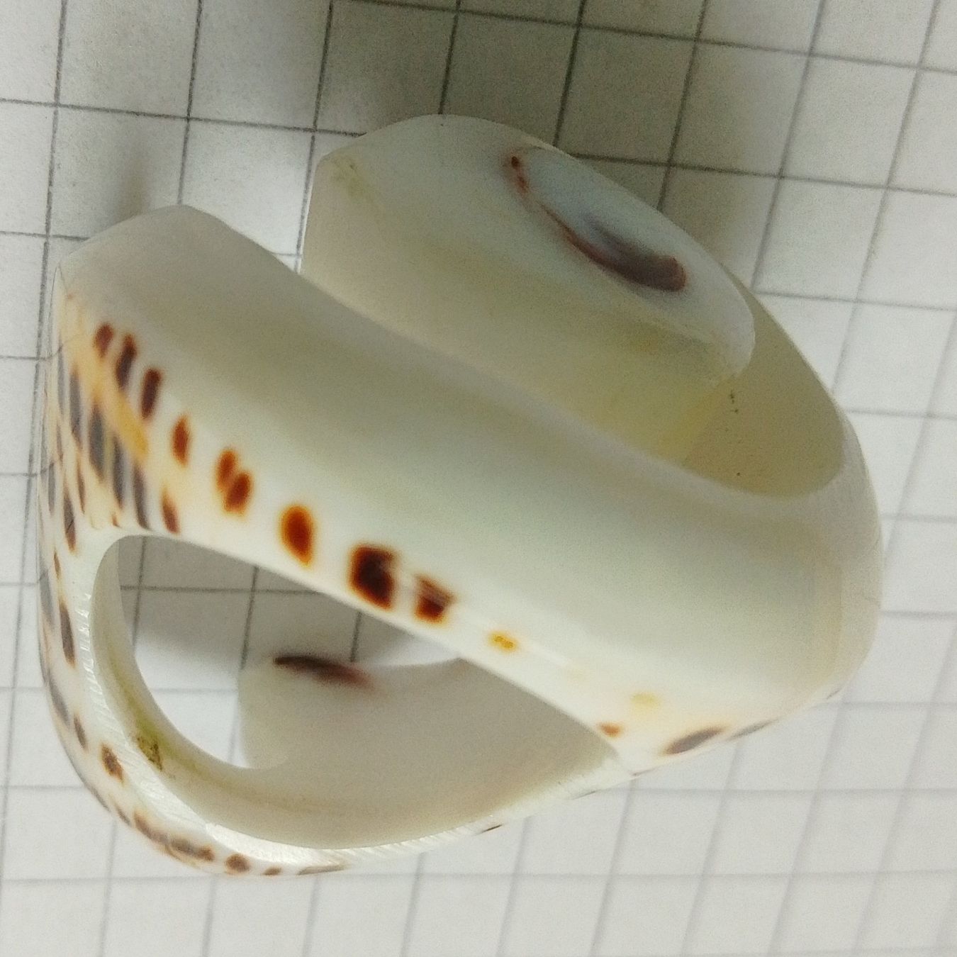 Anelli: Fingerring Vintage Schmuck mit Spiraldesign 3x2,5cm – Usato da Wohlen AG venduto da salamanderspielwaren 5