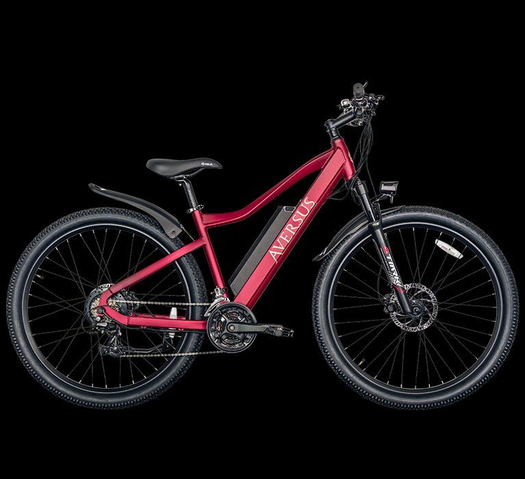 Aversus Biciclette: E-Bike – Usato da Frauenfeld venduto da nazanin