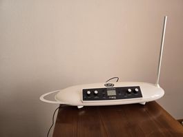 Moog Theremini