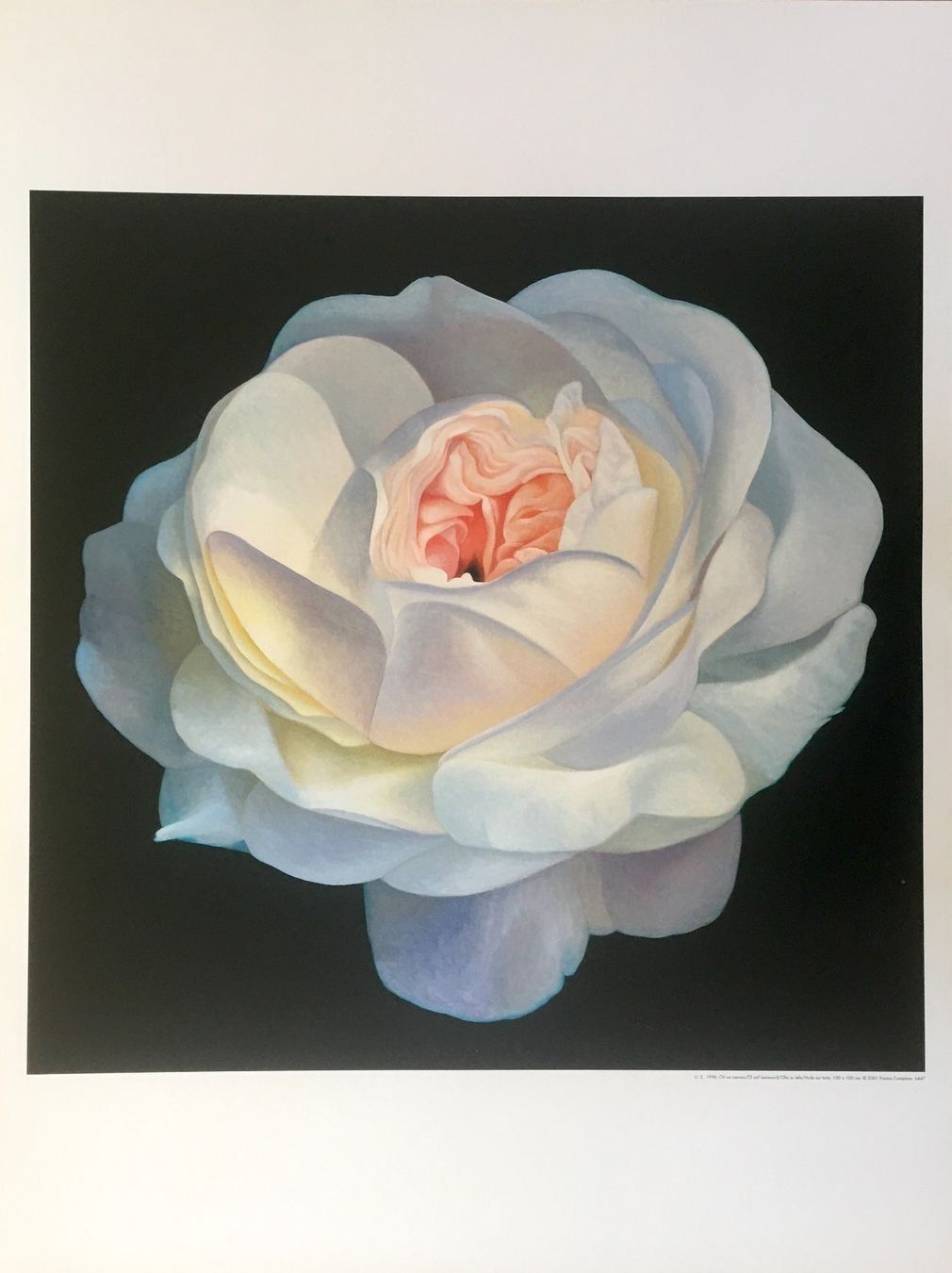 Grafica & Litografie: Franco Campana       4 KUNSTDRUCKE   "Rosen" – Usato da Nennigkofen venduto da Schamane75 8