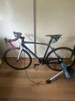 Bergamont Rennrad, Top Zustand, Inklusive Tacx Rolle