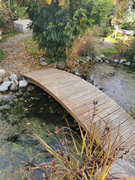 Holz Brückli für Teich Kaufen auf Ricardo