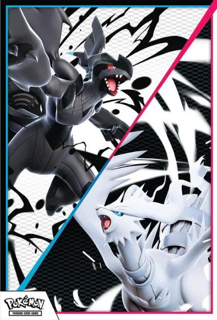 Pokémon Carte collezionabili: Pokemon Poster Bundle - 151 + Black Bolt & White Flare – Nuovo (secondo la descrizione) da Unterentfelden venduto da KoolAid-WhiTe 1