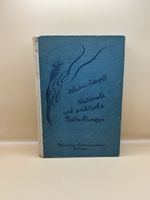 Wladimir Solowjew Nationale und politische Betrachtungen