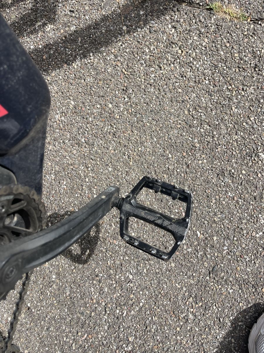 Bergamont Velos: E-Bike – Gebraucht aus Basel von Lizzy_01 6