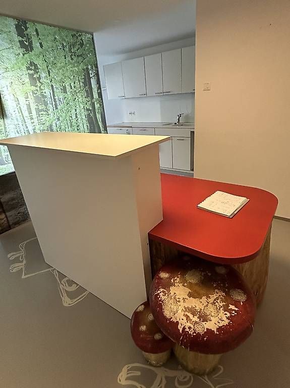 Allestimento di negozi e stand fieristici: Grosser Empfangspult – Usato da Flawil venduto da chelsea011