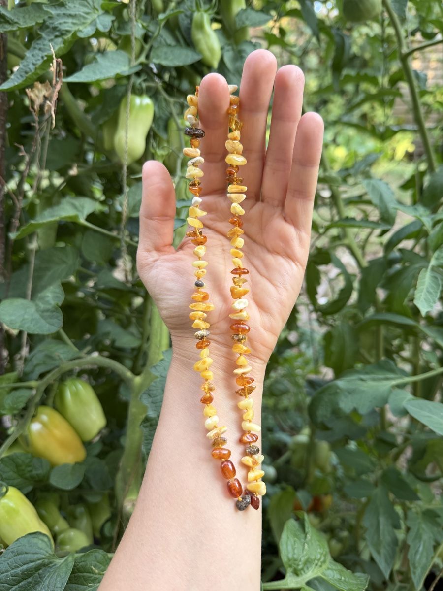 Ketten: Amber necklace mixed colors - new – Neu und originalverpackt aus Corsier GE von Karol_save_planet 7